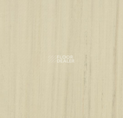 Линолеум Forbo Marmoleum Linear Striato Original 3575 white cliffs фото 1 | FLOORDEALER